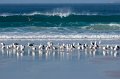 0106 Baie des Trepasses